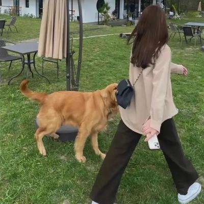 色诱我